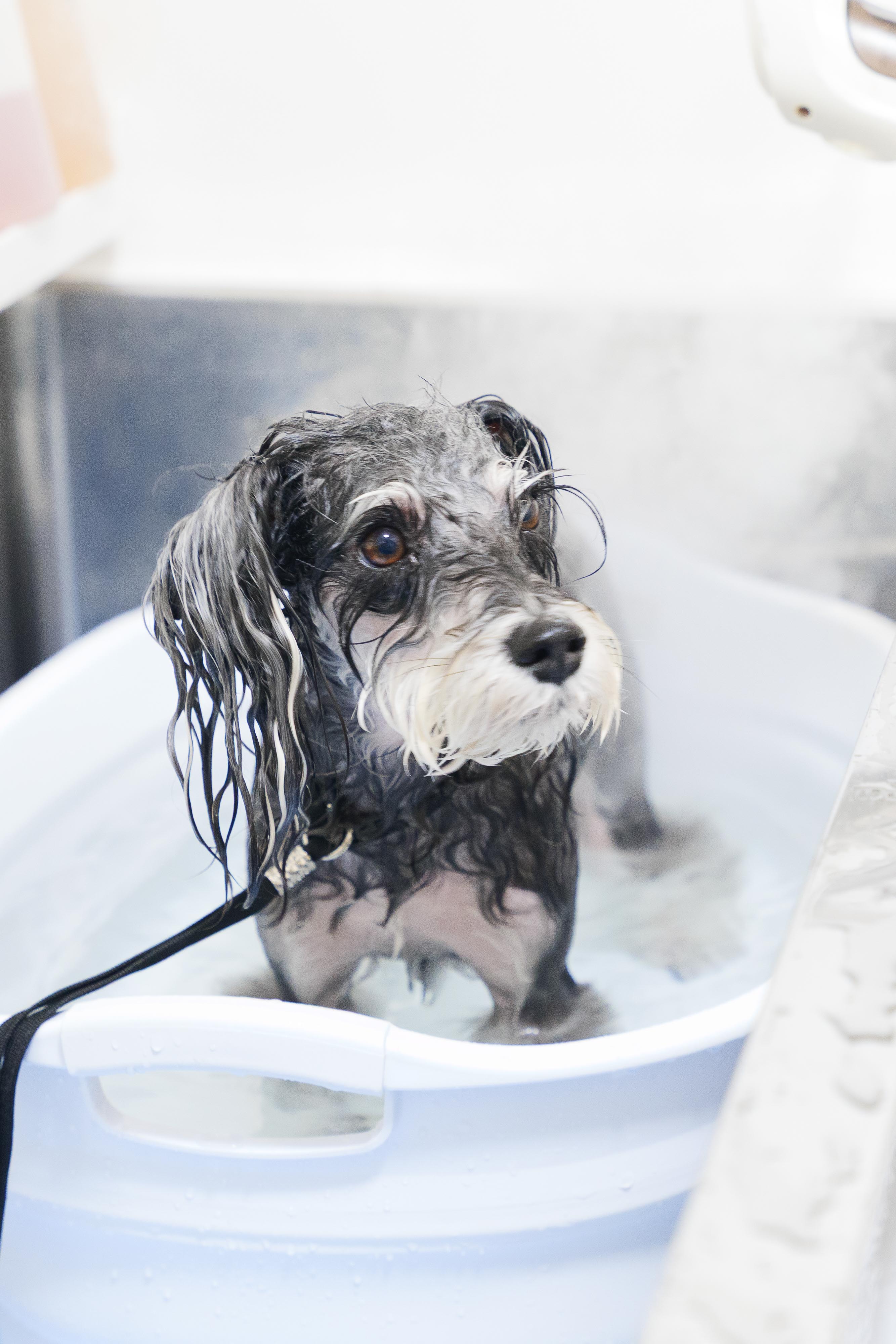 セレクトコース（炭酸泉・オゾンスチーム）